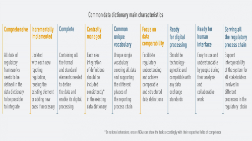 Common data dictionary main characteristics (integrated reporting)